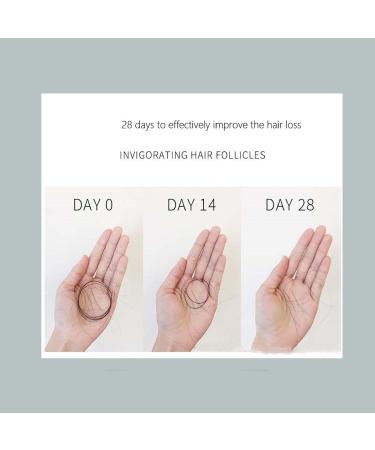 Xinran Shop Triangular soap cypress leaf green solid shampoo bar soap for hair care gives volume regulates sebum production strengthens hair controls sebum dandruff soothes strengthens 8 pieces - Buy Online on GoSupps.com