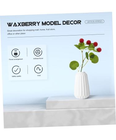 Zerodeko 3pcs Bunches Artificial Bayberry Lifelike Waxberry Model House Plants Indoors Live Artificial Plants Indoor Fake Blueberry Stems Decor Fruit Red Artificial Flower Plastic - Buy Online on GoSupps.com