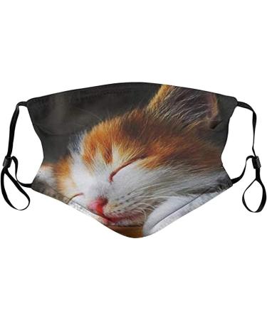 Yliquor 17 Styles Print Mouth Covering Cute Furry Cat Pattern Mouth Washed Reusable Face Cotton Cover for Outdoor Cycling Personal Protection for Men Women (1 pc G) - Buy Online on GoSupps.com