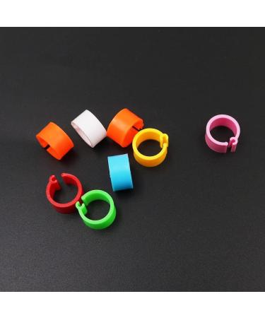 Buy Ancllo 200pcs 8mm No Numbers Birdsbone Tapes - Multicolored Clip-on Leg Rings for Pigeons & Parrots - 10 Color Mixed for Chicks - International Shipping Available - Buy Online on GoSupps.com