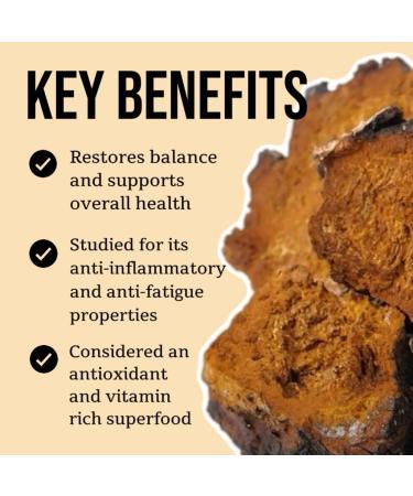North Spore Organic Chaga Mushroom Tincture (4 oz) | 100% Fruiting Body Extracts | Immune Support, Energy, and Balance | Certified Organic, Vegan, Non-GMO | Adaptogenic, Nootropic | Made in USA 4 Fl Oz (Pack of 1) - Buy Online on GoSupps.com