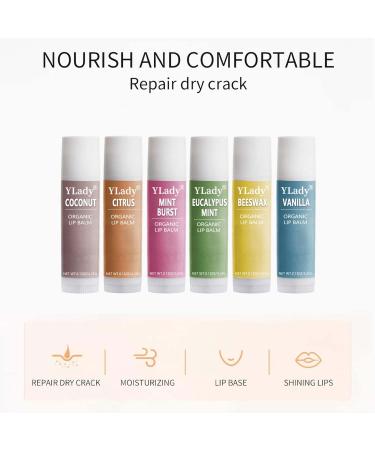 Organic Lip Care Balm Set - 6 Pack Moisturizer in Vanilla Coconut Mint Citrus Beeswax & Eucalyptus Mint - Shop Internationally! - Buy Online on GoSupps.com