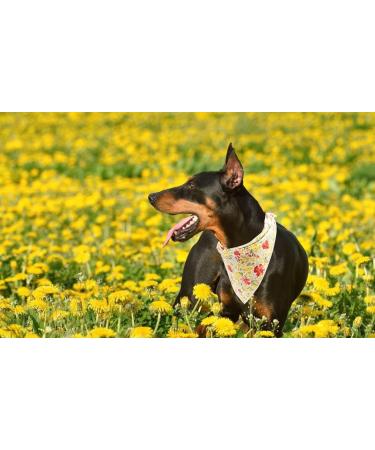 Lionet Paws Dog Bandana - Triangular Scarf for All Dog Sizes (Yellow Flower) - Stylish & Durable Headscarf for Pets - Buy Online on GoSupps.com