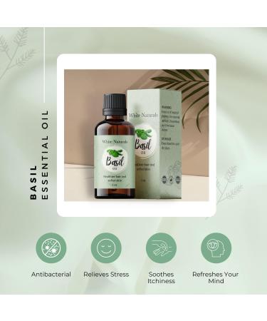 100% Pure Basil Essential Oil for Alertness - 1 oz Therapeutic Grade Aromatherapy Oil - Buy Online on GoSupps.com