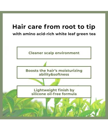 AMOS PROFESSIONAL Green Tea Hair Mask 8.45 oz | Nourishing Korean Hair Growth Treatment - Buy Online on GoSupps.com
