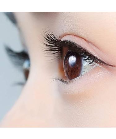 FRCOLOR 80 Pairs Lashes for Women Beauty Favors Supplies False Eyelashes Beauty Long Lashes Cosplay Lashes Makeup Eyelash Curl Flat Lashes Beauty Kit Natural Eyelashes Tool 3d Make up - Buy Online on GoSupps.com