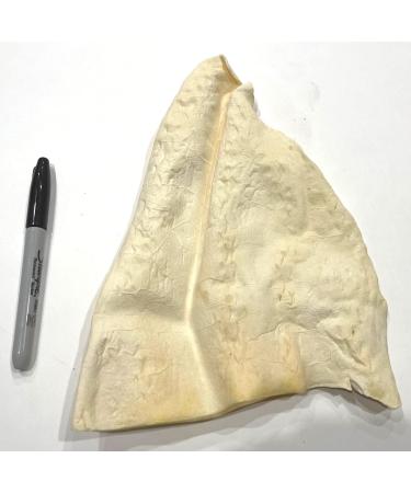 Cow Ears for Dogs - All Natural - Single Ingredient - 40 Pack Original - All Natural Whole Cow Ears - Dog Chew Treat - Rawhide Alternative - Highly Digestible Dog Chew - Larger Then Pig Ears ORIGINAL (40 PACK) - Buy Online on GoSupps.com