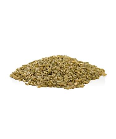 Buy Bakery Spiegelhauer Organic Green Spelt 1 kg | Whole Spelt for Healthy Baking | International Shipping Available - Buy Online on GoSupps.com