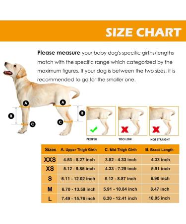 Petmingham Dog Knee Brace for ACL Knee Cap Dislocation Arthritis - Joint Pain Muscle Sore - Better Recovery - Reduces Pain and Inflammation -Adjustable Dog Rear Leg Braces (Size: XXS) XX-Small - Buy Online on GoSupps.com