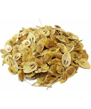 Fine Ground Organic Heracleum Persicum Hogweed (Golpar) Angelica Powder for Cooking and Food Seasoning Middle Eastern Cuisine Cooking Spices and Seasonings 38g Glass container with shaker top  - Buy Online on GoSupps.com