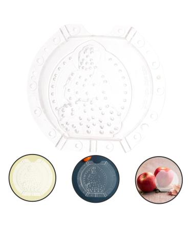 BESPORTBLE 6 Pcs Vegetable Shaping Clear Fruit Cucumber Molds for Garden Vegetable Pumpkin - Buy Online on GoSupps.com