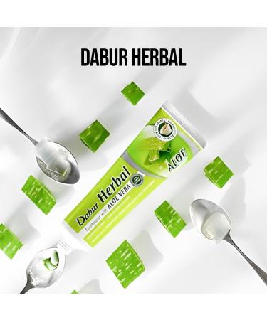 Dabur Ayurvedic Herbal Naturals Aloe Vera Toothpaste 100ml - Best Natural Oral Care for Healthy Teeth & Gums | International Shipping Available - Buy Online on GoSupps.com