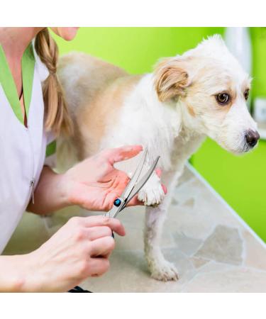 Jiasoval 4-in-1 Dog Grooming Kit with Safety Round Tip - Professional Scissors Set for Dogs & Cats - Includes Steel Comb and Leather Pouch - Buy Online on GoSupps.com