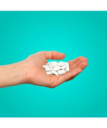 PUR GUM | Sugar-Free Vegan Chewing Gum with Xylitol | Gluten-Free Wintergreen Flavor | 55 Pieces (6-Pack) - Buy Online on GoSupps.com
