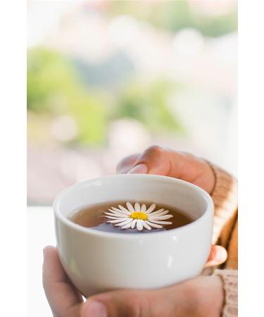 English Tea Shop Perfect Peppermint Fairtrade & Organic Premium Whole Leaf Tea 80g - Buy Online on GoSupps.com