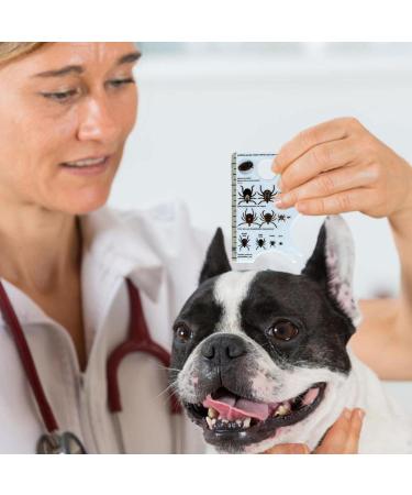 Pets Lice Catcher with Magnifying Glass Tick Removal Tool Tick Remover for Dogs & Cats Used for Pets Lover Small Tick Removal Tool Tick Inspection Card Tick Identification Card - Buy Online on GoSupps.com