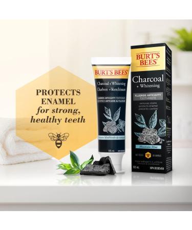 Burt's Bees Charcoal Fluoride Toothpaste Mountain Mint 105 mL (Pack of 2) - Buy Online on GoSupps.com