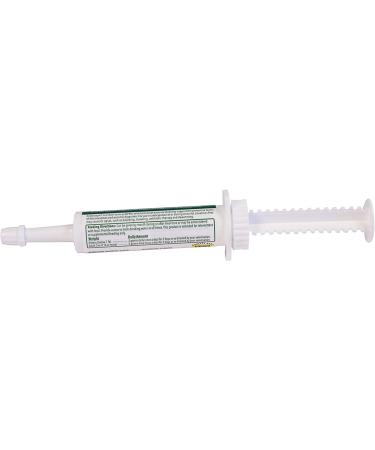 Endurosyn Probiotic Oral Gel for Cats 15gm - Digestive Health Supplement - Buy Online on GoSupps.com
