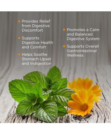 Buy Antaxid Calendula & Mint - 60 Chewable Tabs for Stomach Relief | Soothing Acid Reflux & Fullness - Buy Online on GoSupps.com