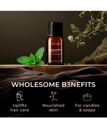 Eucalyptus & Peppermint Oil for Diffuser Set - Essential Oils Aromatherapy Roll On with Essential Oil Set - 2x0.34 fl oz - Gya Labs - Buy Online on GoSupps.com