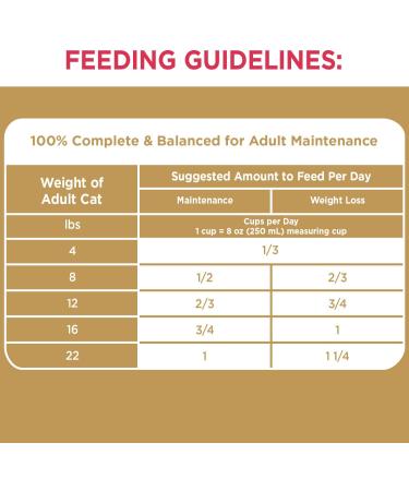 IAMS Proactive Health Dry Cat Food Adult Long Hair Care Chicken & Salmon 1.36kg Bag 1.36 kg - Buy Online on GoSupps.com