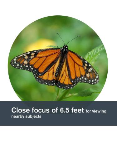 Close focus binoculars for butterflies top