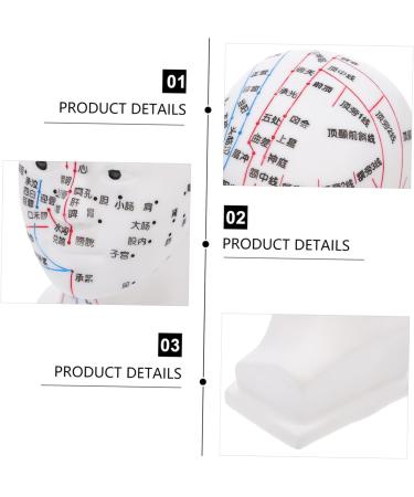 Minkissy Realistic Acupuncture Point Model - Hospital & Laboratory Supplies for Head Massage | 22x12x8cm PVC Scalp Pin Model - Buy Online on GoSupps.com