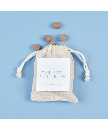 The Pet Rainbow | Small Animal Funeral Kit with Pet Coffin & Casket | For Hamsters, Guinea Pigs, Birds, Gerbils, Reptiles, Fish | Cardboard Coffins | Up to 6kg | 275mm x 150mm x 100mm - Buy Online on GoSupps.com
