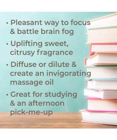 Plant Therapy Brain Aid Essential Oil Blend - 100% Pure Aromatherapy for Focus & Attention | 10 mL - Buy Online on GoSupps.com