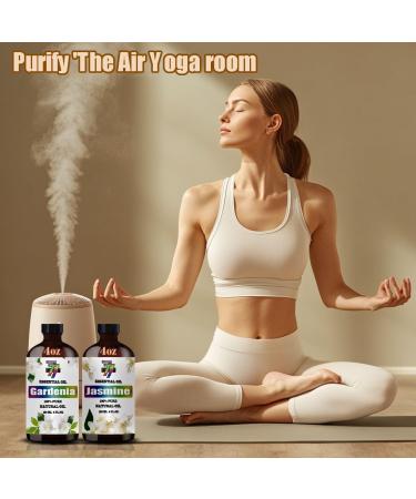 GV77ZF Essential Oil Two 4 Fl Oz (120Ml) Set - Pure Natural Eucalyptus Oil and Jasmine Essential Oil for Diffuser Humidifier Skin Care Home Fragrance Bath Hair Care Cleansing Massage Yoga - Buy Online on GoSupps.com