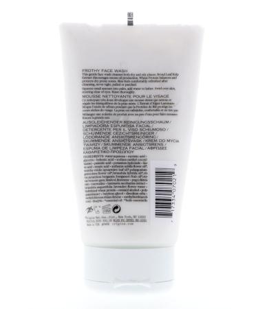 Origins Checks & Balances Frothy Face Wash 150ml - Best International Shipping | Buy Now - Buy Online on GoSupps.com