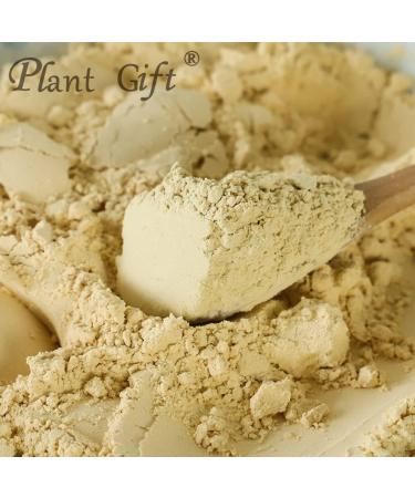 Plant Gift 100% Pure Hericium Erinaceus Powder Natural Lions Mane Flour for Drinks | Adds Flavor and Taste Non-GMO No Filler No additives 100G/3.25oz - Buy Online on GoSupps.com
