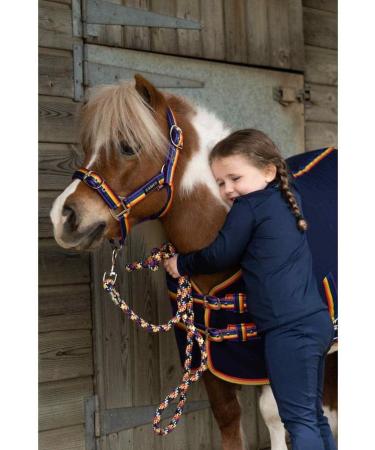 Cameo Equine Quality Padded Headcollar & Strong Leadrope - Comfortable & Stylish Rainbow Pony - Buy Online on GoSupps.com