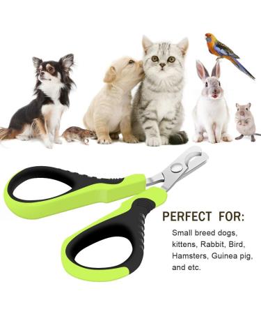 VICTHY Pet Nail Clippers for Small Animals - Professional Claw Toenail Trimmer for Cats, Dogs, Kittens, Puppies, Bunnies, Rabbits, Birds, and Ferrets - Buy Online on GoSupps.com