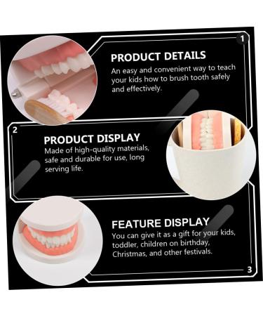 Minkissy 3D Children's Toothbrush Toy | Early Dental Education for Kids | Fun and Reusable Toddler Toys - Buy Online on GoSupps.com