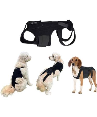 Dog Back Support Ease Discomfort and Aid Healing Supporting Vest for Walking Supportive Dog Back Bracer No Pull Assist Dog Back Bracer Small - Buy Online on GoSupps.com