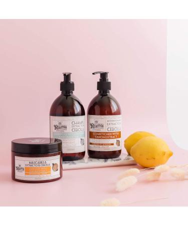  MI REBOTICA MI REBOTICA Sulphate-Free Onion Extract Shampoo 250 ml - Buy Online on GoSupps.com