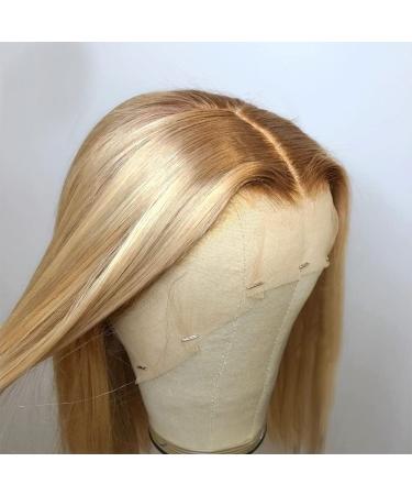 ANDRIA Blonde Lace Front Wig 24 - Heat Resistant Fiber, Natural Straight Ombre Dirty Blonde, Glueless & Colored Synthetic Wig for Women - Buy Online on GoSupps.com