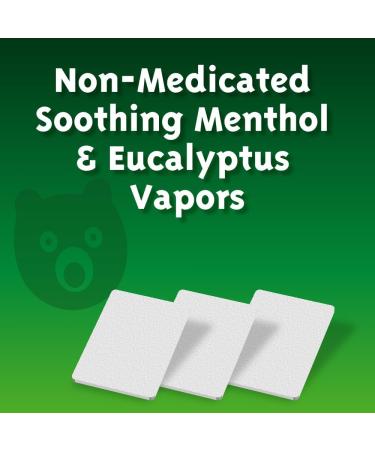 AromaHouse Real Relief Plug-in WATERLESS Aromatherapy Vaporizer + 5 Soothing Non-Medicated Menthol Eucalyptus Vapor Refills 1 ct - Buy Online on GoSupps.com