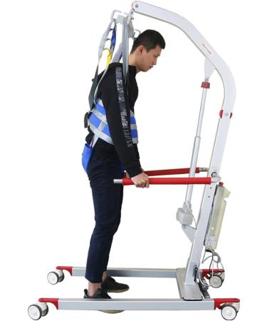 Divided Leg Sling for Elderly Disabled Patient Hoist Sling Stair Transfer Belt Full Body Patient Lift Sling Medical Walking Standing Aids Carrier Patient Lifter Divided Leg Sling Blue M - Buy Online on GoSupps.com