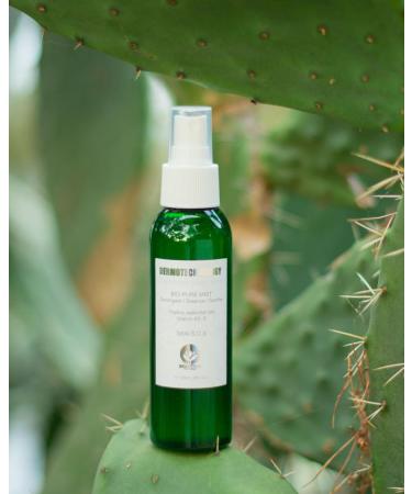 Bio Pure Mist - Organic Decongestant Skin Care for All Skin Types | Balance & Soothe with Essential Oils & Vitamins | 120 ML - Buy Online on GoSupps.com