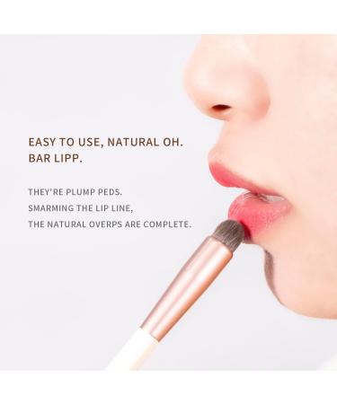 Buy Round Head Lip Brush - Reusable Makeup Applicator for Gloss Lipstick Perfect Travel Companion - Buy Online on GoSupps.com