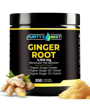 Purity s Best Ginger Root Capsules 200 Vegan Capsules | 200 Day Supply | Made in USA