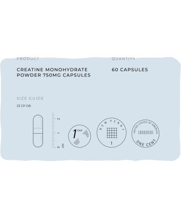 Buy Creatine Monohydrate Capsules 750mg - High Strength Vegan Energy Supplement for Men & Women | Boost Energy & Performance (60 Capsules) - Worldwide Shipping - Buy Online on GoSupps.com