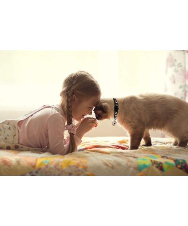2PCS Breakaway Cat Collars with Bell - Adjustable Safe Kitten Collars - Glow in The Dark - Black&Purple - Buy Online on GoSupps.com