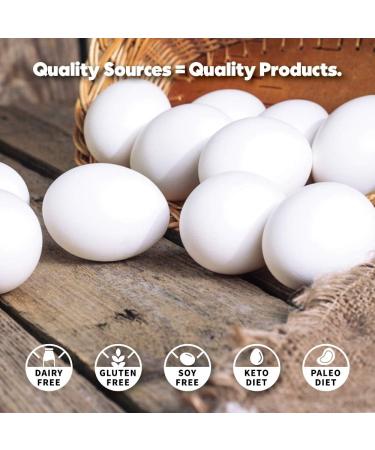 True Nutrition Egg White Protein Powder - Low Carb Keto Paleo Lactose-Free Gluten-Free - Chocolate Fudge Brownie 1lb - Buy Online on GoSupps.com