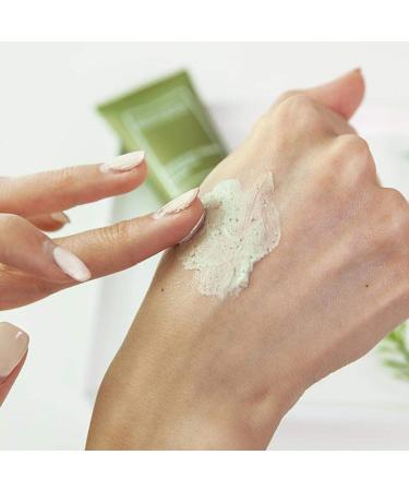 Organic Mugwort & Green Tea Calming Clay Mask | Nourishing & Soothing - 1.9 Fl. Oz - BONAJOUR - Buy Online on GoSupps.com