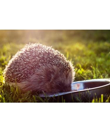 ENTAVA Fresh Insect Puree 400g Can - 100% Mealworms for Hedgehogs Birds Reptiles & More | Premium Pet Feed for All Pets - Buy Online on GoSupps.com