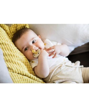 Buy Pack of 2 Cherry Green Natural Latex Pacifiers for 0-6 Months - Safe & Comfortable - Buy Online on GoSupps.com