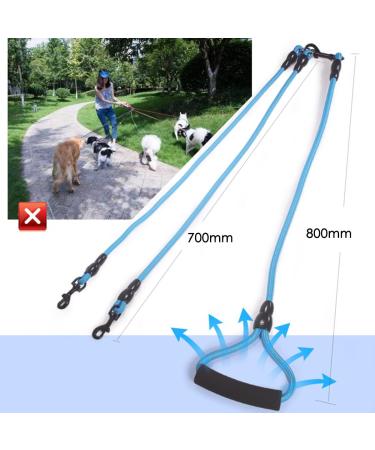 Premium Multi-Dog Leash for 1-4 Dogs | Faith-Free Chain Lead for Walking & Jogging | Perfect for Medium & Small Pets - Blue - Buy Online on GoSupps.com